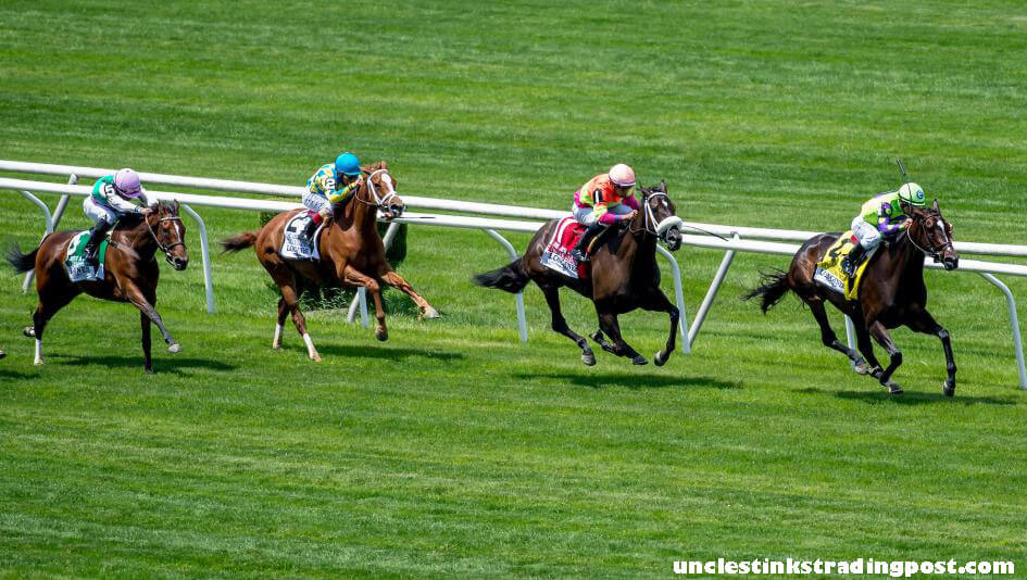 Horse Betting การแข่งม้าเป็นกีฬาขี่ม้าที่ได้รับการฝึกฝนมาเป็นเวลาหลายศตวรรษ การแข่งขันรถม้าในสมัยโรมันเป็นตัวอย่างแรกๆ เช่นเดียวกับการแข่ง